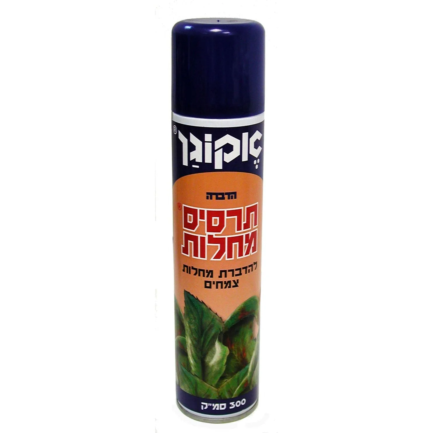 תמונה ממוזערת 1