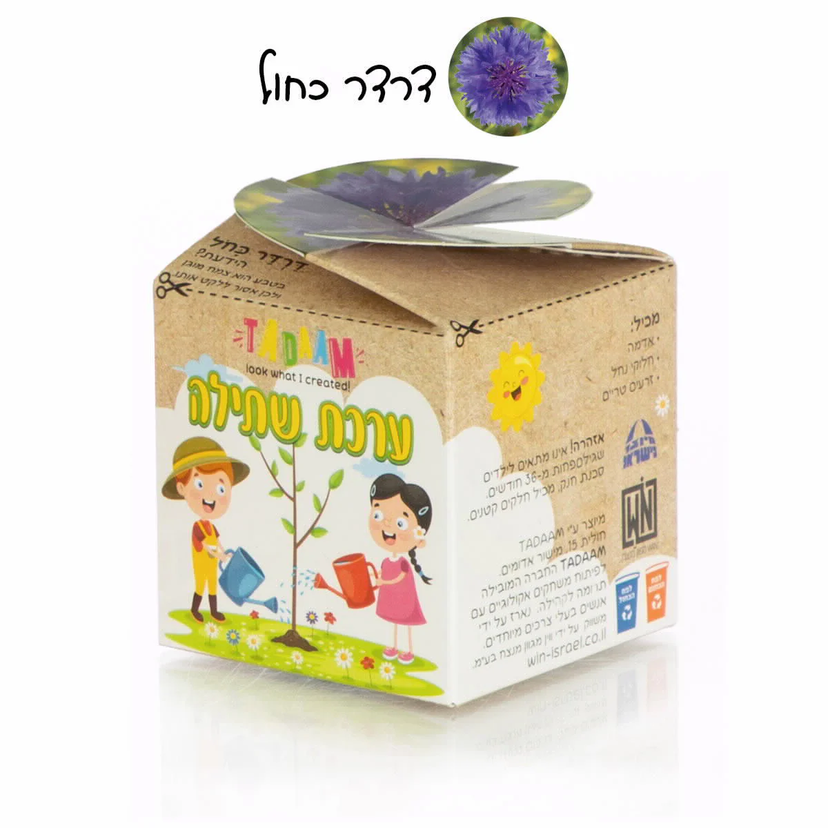 ערכת שתילה פרחי נוי - Image 4