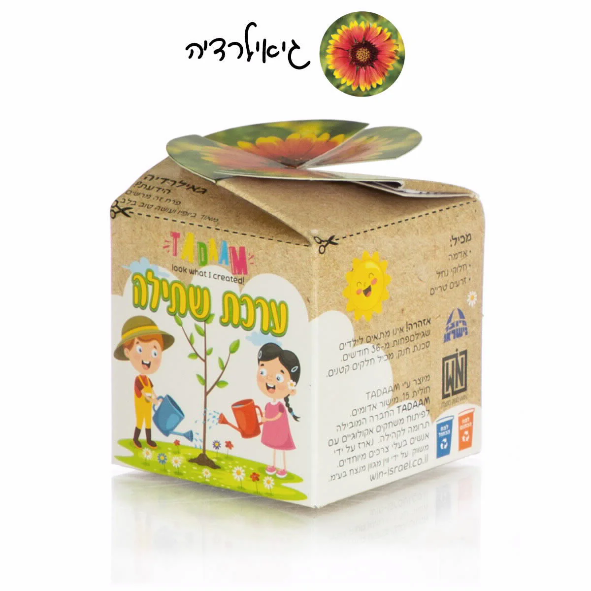 ערכת שתילה פרחי נוי - Image 5
