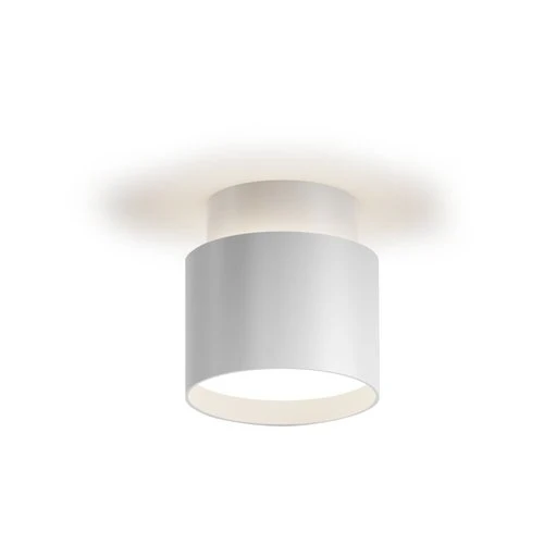 גוף תאורה צמוד תקרה צילינדר לבן חלבי DARIA 12W CCT