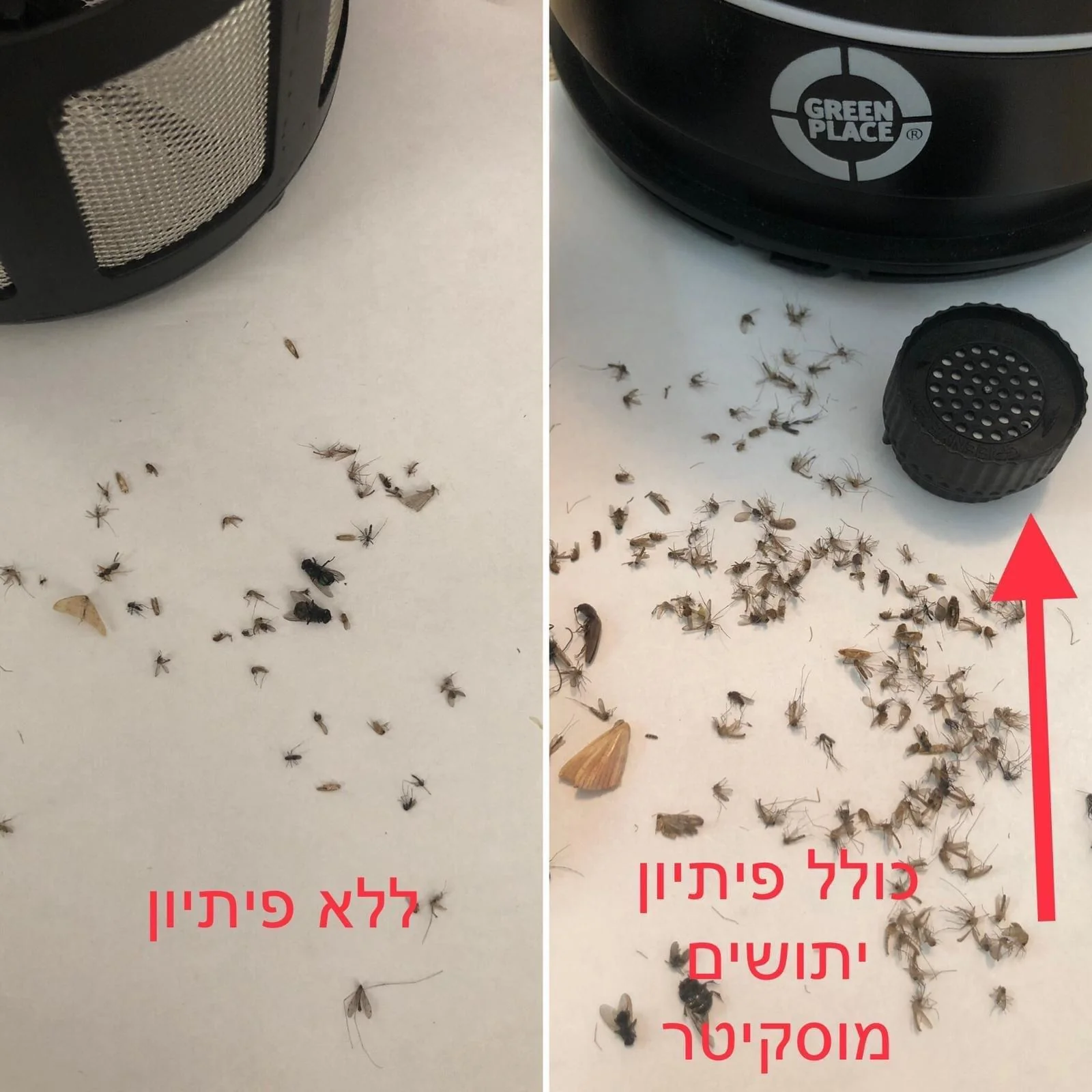 קטלן חרקים הוריקן הום 2 LED כולל פתיון - Image 2
