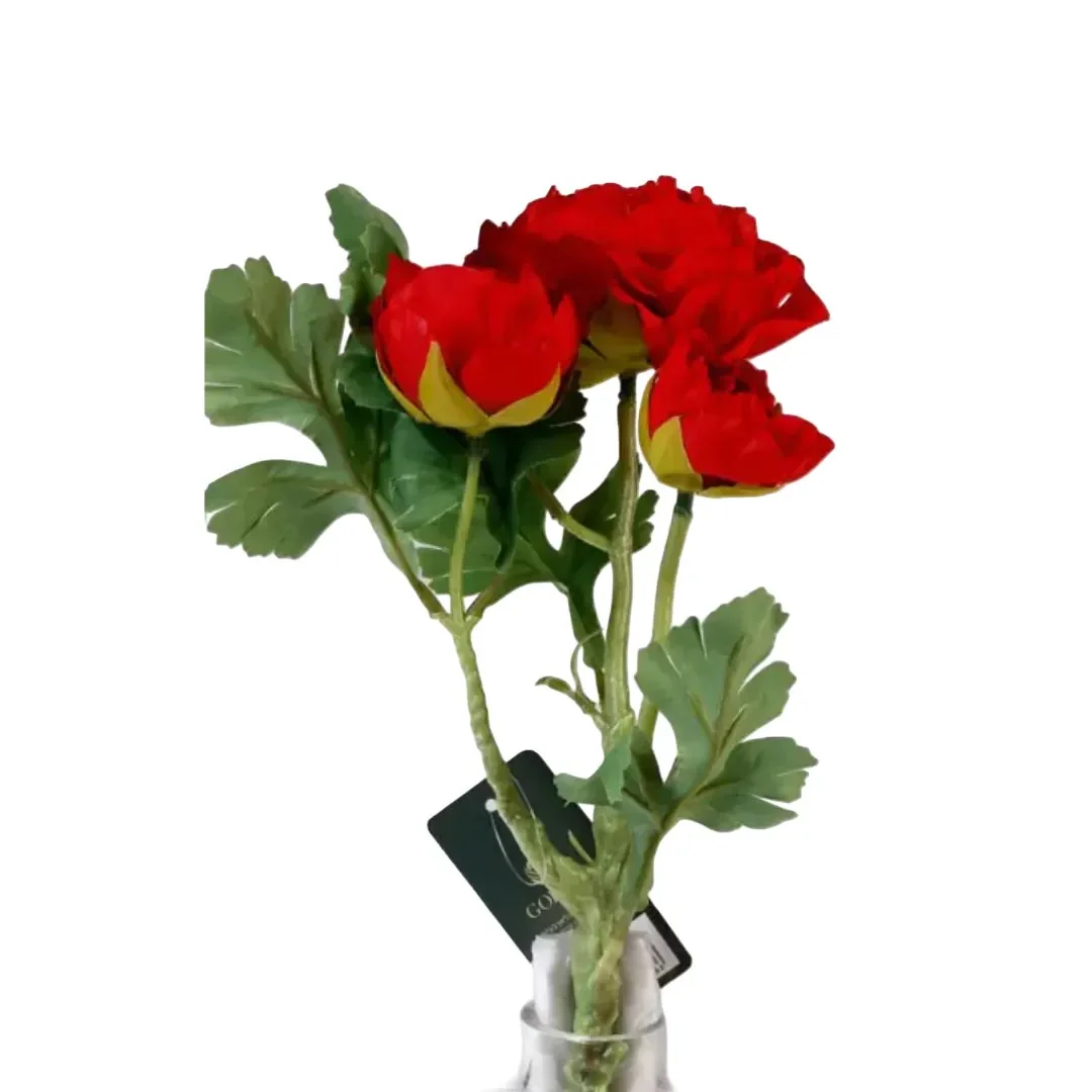גבעול פרח הרנוקולוס אדום 37 ס"מ - Image 3