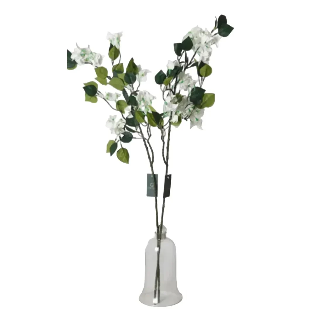 בוקט פרחי BOUGAINVULLEA בגודל 100*22  בצבע לבן